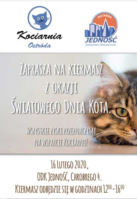 kociarnia